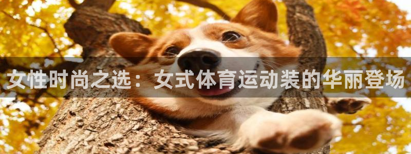 女性时尚之选：女式体育运动装的华丽登场