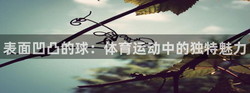 表面凹凸的球：体育运动中的独特魅力