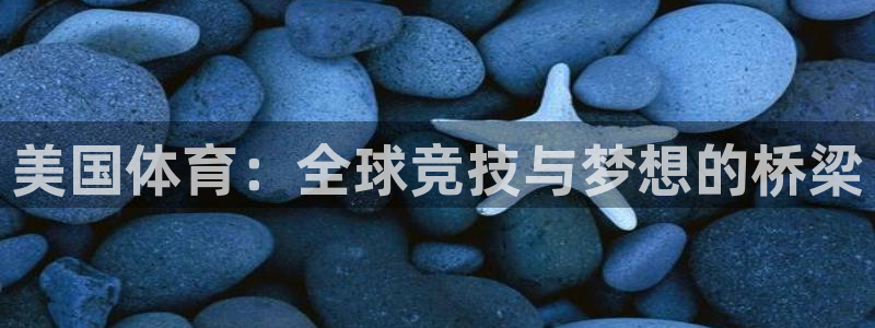 美国体育：全球竞技与梦想的桥梁