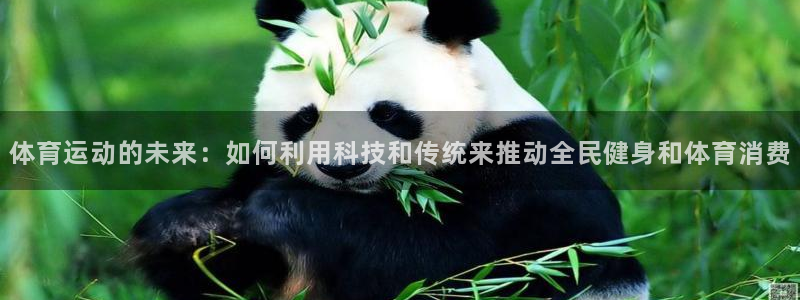 体育运动的未来：如何利用科技和传统来推动全民健身和体育消费