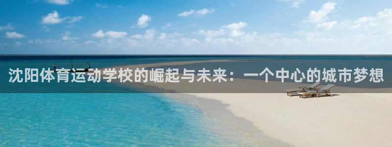 沈阳体育运动学校的崛起与未来：一个中心的城市梦想