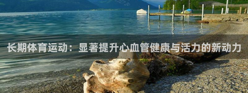 长期体育运动：显著提升心血管健康与活力的新动力