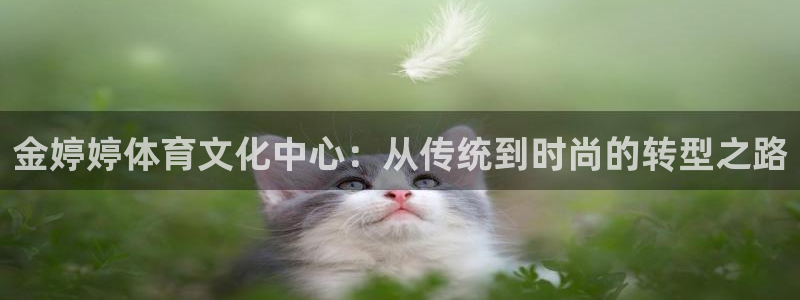 金婷婷体育文化中心：从传统到时尚的转型之路
