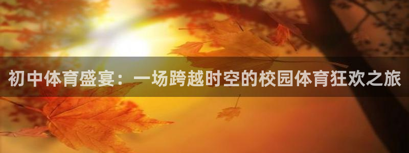 初中体育盛宴：一场跨越时空的校园体育狂欢之旅