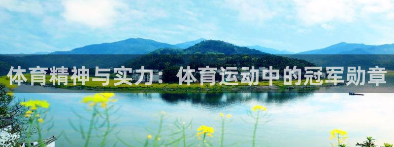 体育精神与实力：体育运动中的冠军勋章